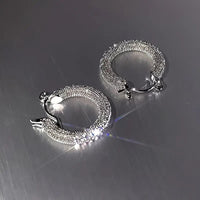 Sparkling Hoop Earrings Zinc Alloy Jewelry Vintage Elegant Style Geometric 72