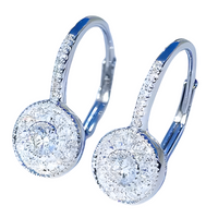 925 Silver-Plated Round Halo Drop Earrings Women – Sparkling Cubic Zirconia 891