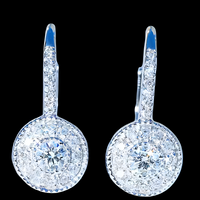 925 Silver-Plated Round Halo Drop Earrings Women – Sparkling Cubic Zirconia 891