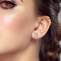 925 Sterling Silver Tree of Life Heart Leaf Earrings Women– Sparkling Zircon 844