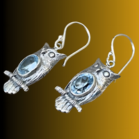 Vintage Silver Owl Dangle Earrings for Women Blue Stone Accent Hook Closure B52