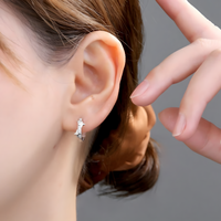 Crystal Star Huggie Hoop Earrings, Sparkling CZ Star, Small Silver Hoop 328