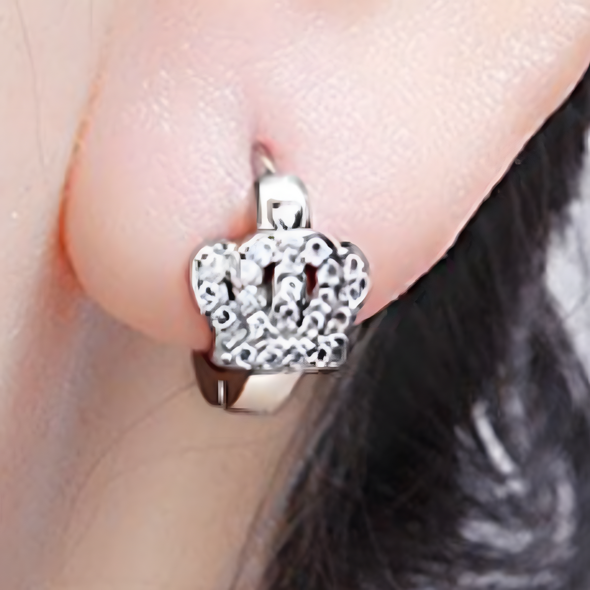 Royal Crown Crystal Hoop Earrings Copper Alloy 925 SilverPlated Huggie Hoop 1027